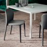 Cattelan Italia Daisy Chair By Cattelan Italia