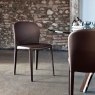 Cattelan Italia Daisy Chair By Cattelan Italia