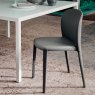 Cattelan Italia Daisy Chair By Cattelan Italia