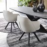 Cattelan Italia Bombe Chair By Cattelan Italia