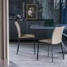 Cattelan Italia Rita Chair By Cattelan Italia