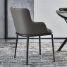 Cattelan Italia Magda Chair With Metal Legs and Arms By Cattelan Italia