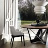 Cattelan Italia Magda Chair With Wooden Legs and Arms By Cattelan Italia