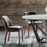 Cattelan Italia Musa Chair By Cattelan Italia