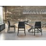 Cattelan Italia Ginevra Chair By Cattelan Italia