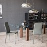 Cattelan Italia Maya Flex Chair By Cattelan Italia