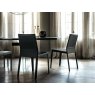 Cattelan Italia Margot Chair By Cattelan Italia