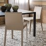 Cattelan Italia Margot Chair By Cattelan Italia