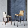 Cattelan Italia Sofia Bar Stool By Cattelan Italia