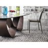Cattelan Italia Butterfly Keramik Table By Cattelan Italia