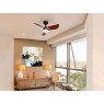 Beadle Crome Interiors Thiago Ceiling Fan