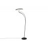 Beadle Crome Interiors Diego Floor Lamp