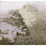 Beadle Crome Interiors Special Offers Leo Rug