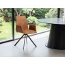 Venjakob David Dining Chair With Arms By Venjakob