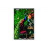 Beadle Crome Interiors Special Offers Stately Peacock Velvet Artwork