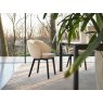 Calligaris Anime Dining Chair With Wooden Legs By Calligaris