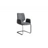 Venjakob Venjakob Q604 Arnd Cantilever Chair With Arms